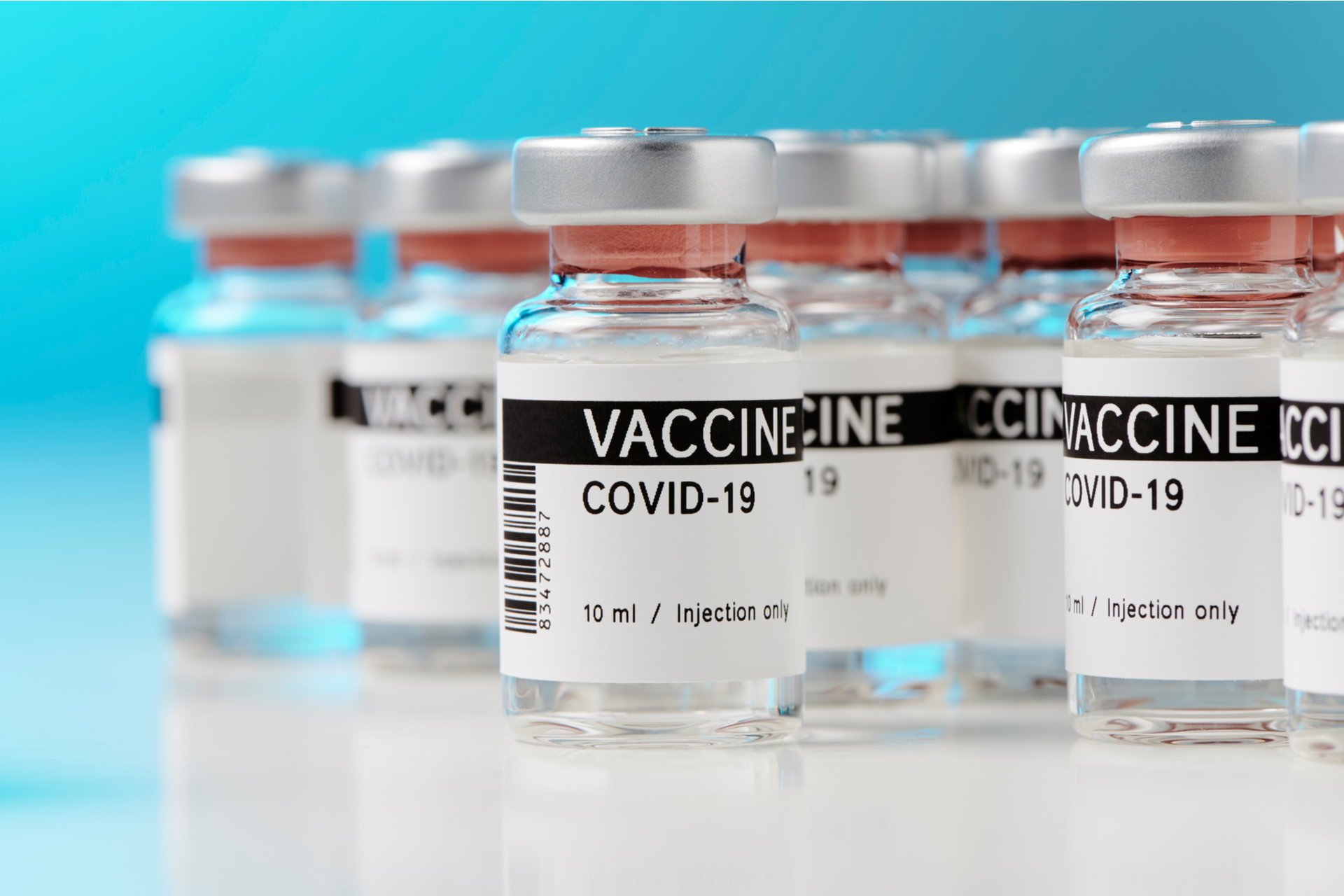 vaccine distribution