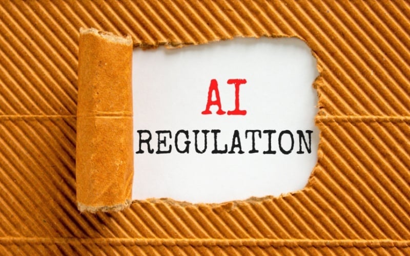 paper pulled back to read AI Regulation