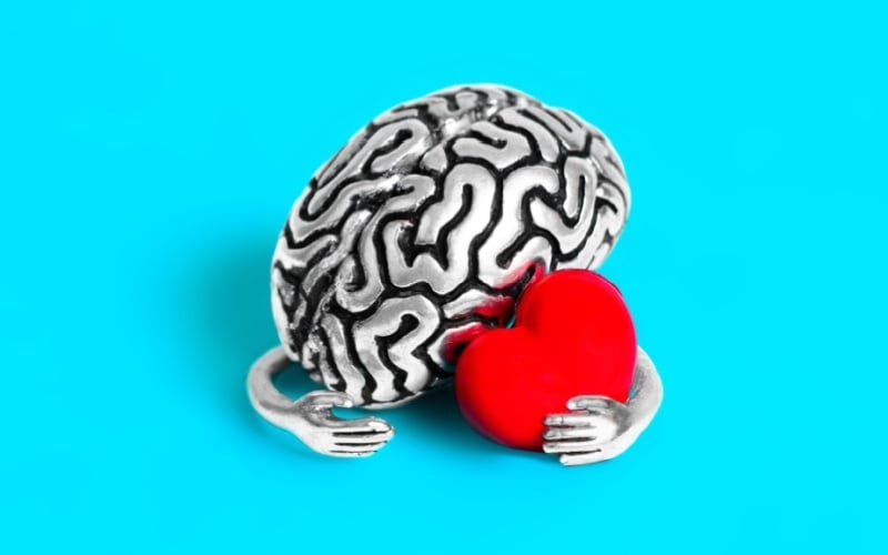 brain hugging heart