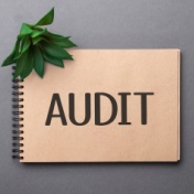 the word audit written on notebook