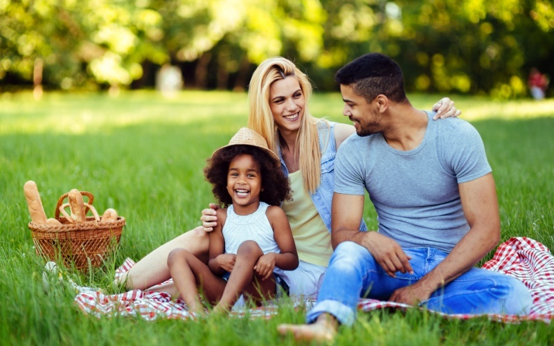 family on picnic