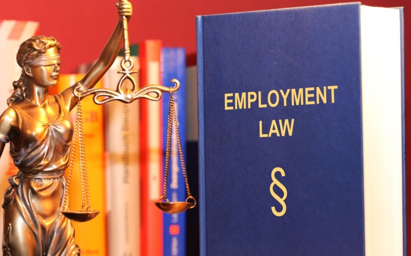 Reference book employment law and a Justitia